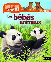 Les bébés animaux